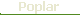 Pine