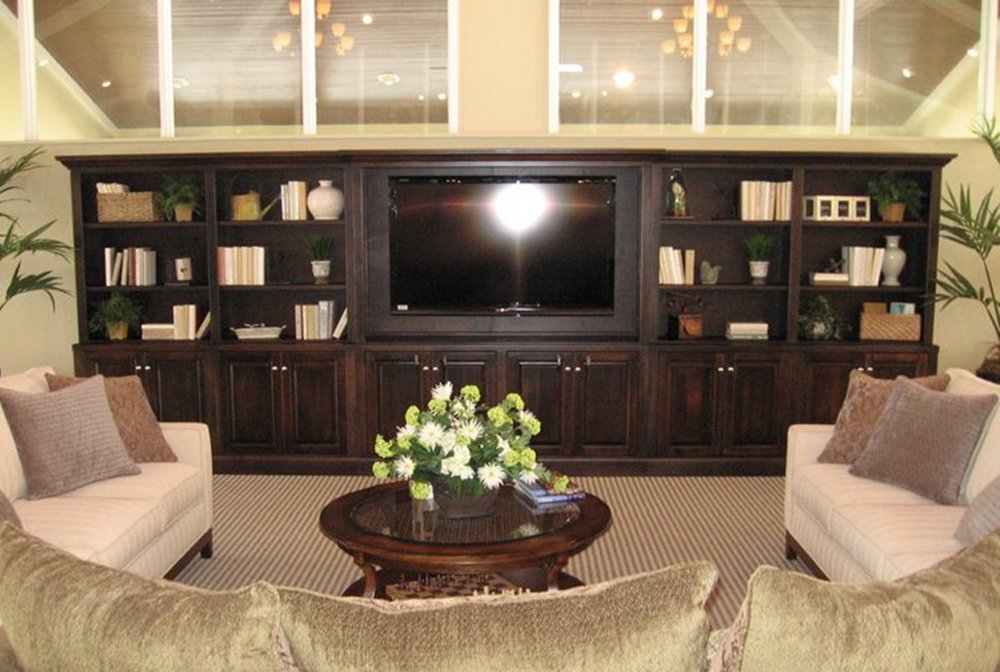 Cuestom Entertainment Wall Unit