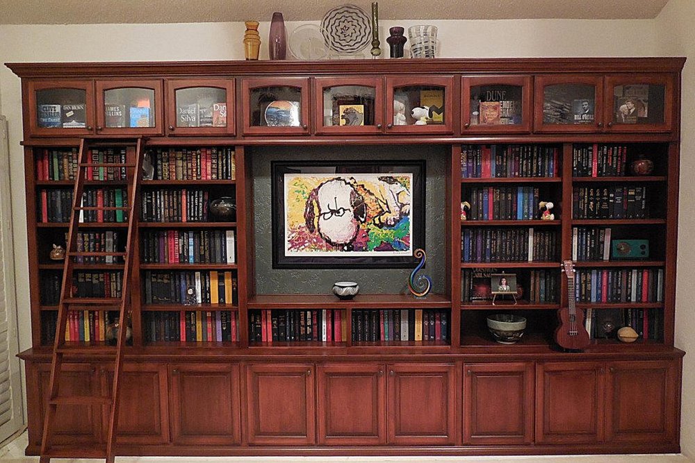 Home Library with optional Ladder